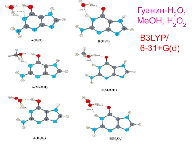 B3LYP/ 6-31+G(d) Гуанин-H2O, MeOH, H2O2