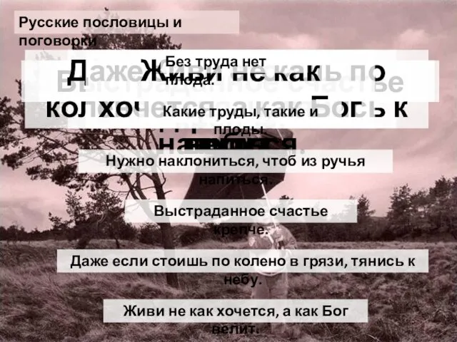 Без труда нет плода. Какие труды, такие и плоды. Нужно