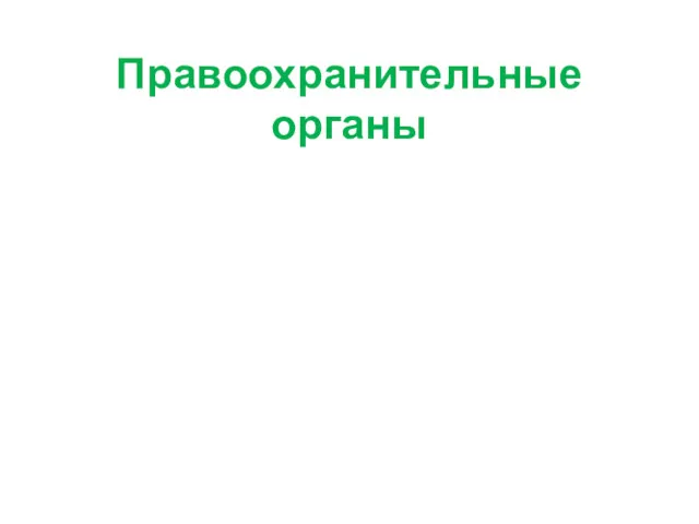 Правоохранительные органы