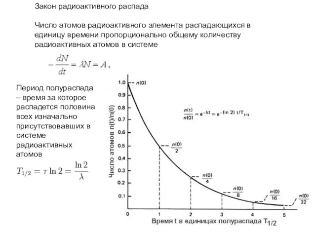 Закон радиоактивного распада Число атомов радиоактивного элемента распадающихся в единицу