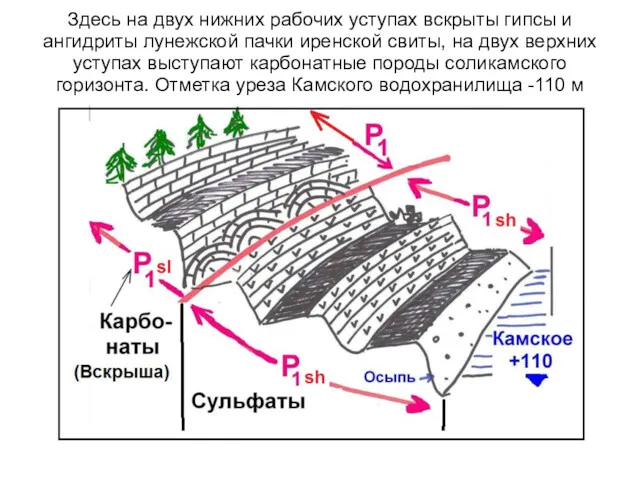 Здесь на двух нижних рабочих уступах вскрыты гипсы и ангидриты