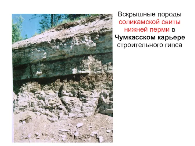 Вскрышные породы соликамской свиты нижней перми в Чумкасском карьере строительного гипса