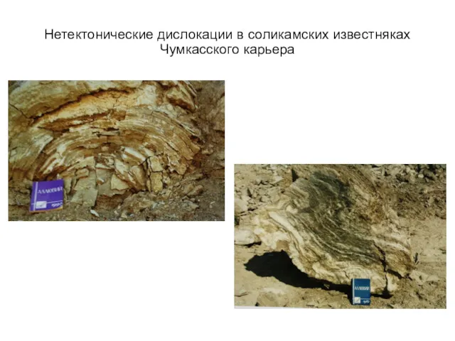 Нетектонические дислокации в соликамских известняках Чумкасского карьера