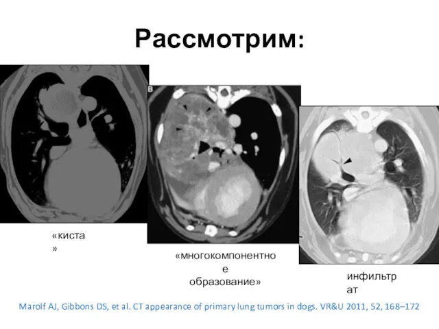 Рассмотрим: «киста» «многокомпонентное образование» инфильтрат Marolf AJ, Gibbons DS, et