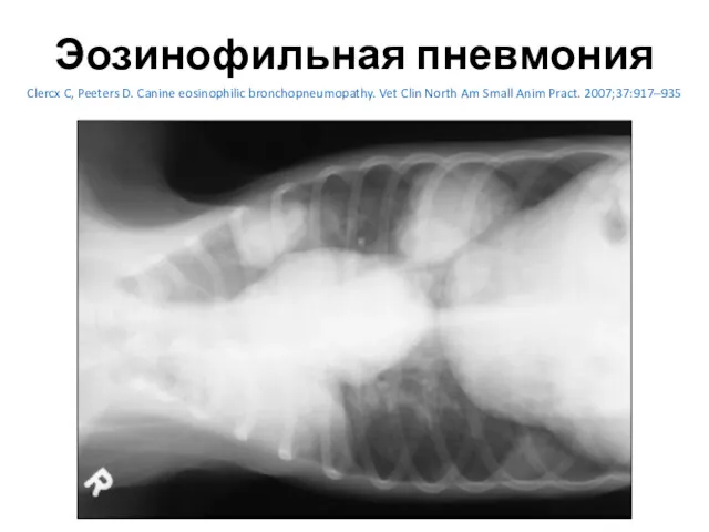 Эозинофильная пневмония Clercx C, Peeters D. Canine eosinophilic bronchopneumopathy. Vet