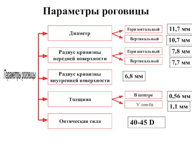 Параметры роговицы Параметры роговицы Диаметр Радиус кривизны передней поверхности Радиус