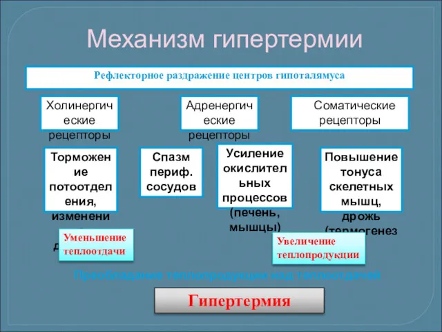 Рефлекторное раздражение центров гипоталямуса Холинергические рецепторы Адренергические рецепторы Соматические рецепторы