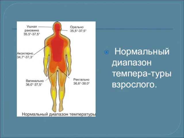 Нормальный диапазон темпера-туры взрослого.