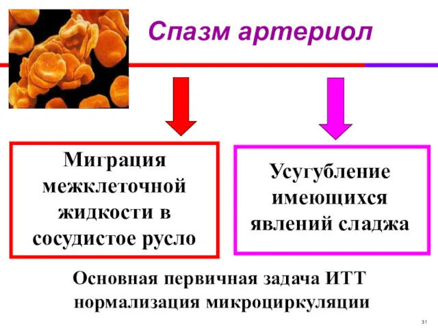 Спазм артериол Миграция межклеточной жидкости в сосудистое русло Усугубление имеющихся явлений сладжа Основная