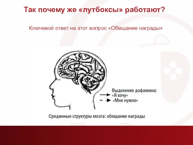 Так почему же «лутбоксы» работают? Ключевой ответ на этот вопрос «Обещание награды»