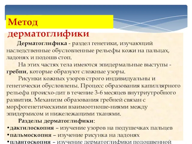 Дерматоглифика - раздел генетики, изучающий наследственные обусловленные рельефы кожи на