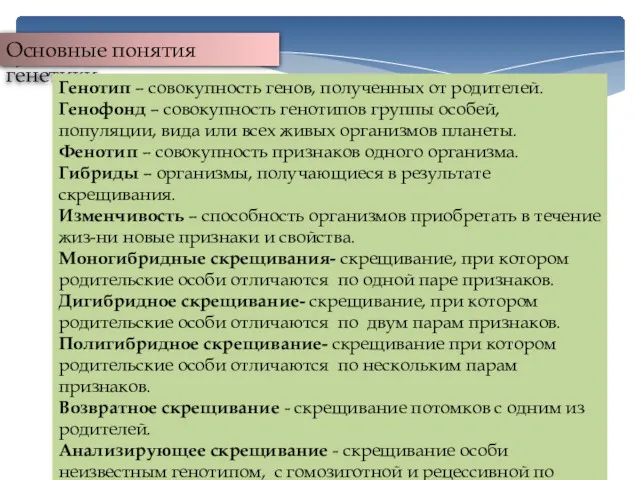 Основные понятия генетики Генотип – совокупность генов, полученных от родителей.