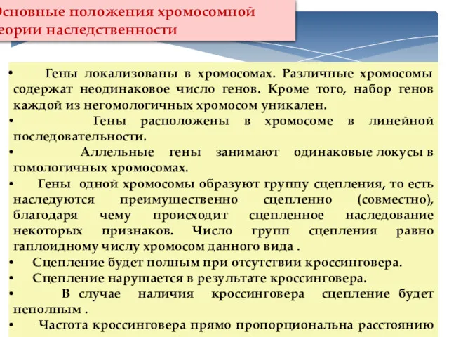 Основные положения хромосомной теории наследственности Гены локализованы в хромосомах. Различные