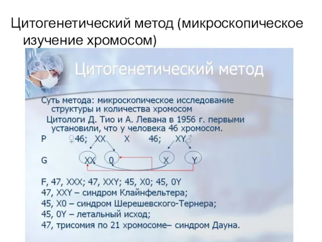 Цитогенетический метод (микроскопическое изучение хромосом)