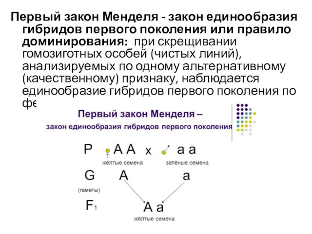 Первый закон Менделя - закон единообразия гибридов первого поколения или