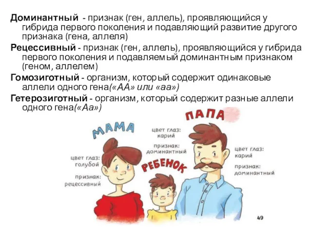 Доминантный - признак (ген, аллель), проявляющийся у гибрида первого поколения