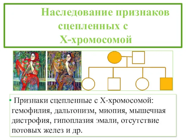 Наследование признаков сцепленных с Х-хромосомой Признаки сцепленные с Х-хромосомой: гемофилия,