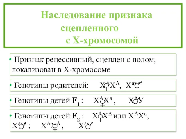 Наследование признака сцепленного с Х-хромосомой Признак рецессивный, сцеплен с полом,