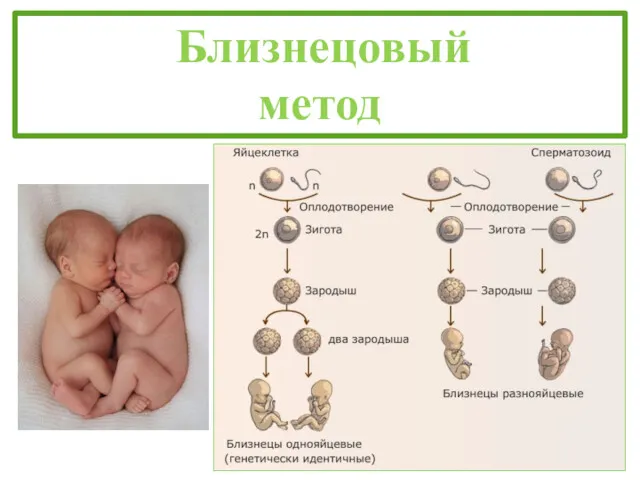 Близнецовый метод