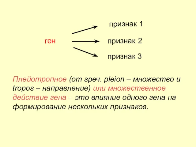 ген признак признак 1 признак 3 2 Плейотропное (от греч.