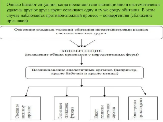 Однако бывают ситуации, когда представители эволюционно и систематически удалены друг