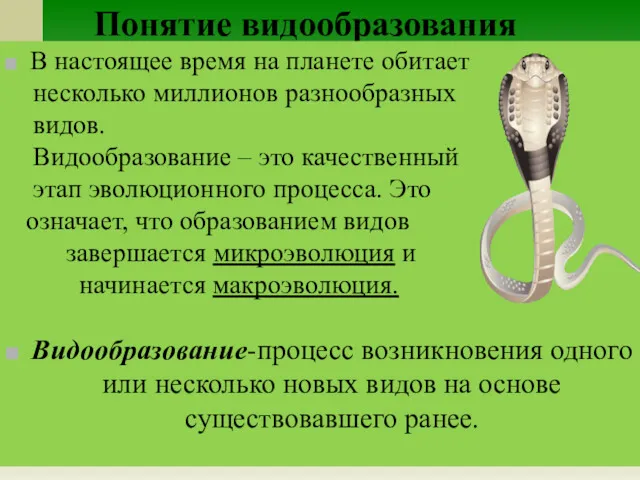 Понятие видообразования В настоящее время на планете обитает несколько миллионов