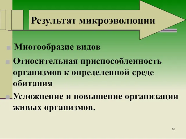 Результат микроэволюции Многообразие видов Относительная приспособленность организмов к определенной среде