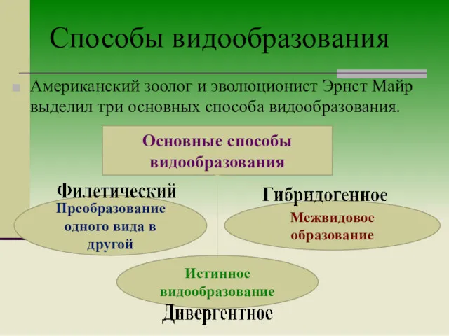 Способы видообразования Американский зоолог и эволюционист Эрнст Майр выделил три