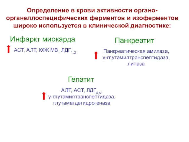 Определение в крови активности органо- органеллоспецифических ферментов и изоферментов широко используется в клинической