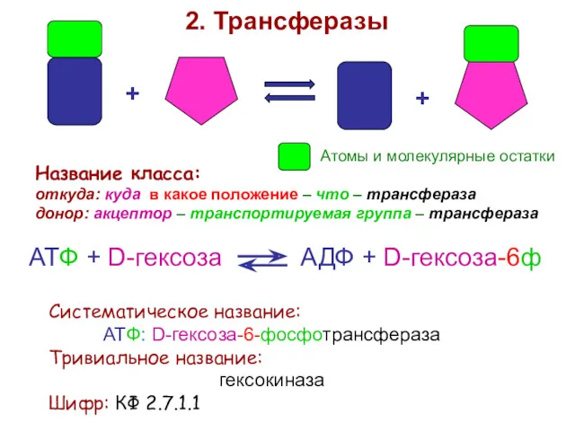 + + 2. Трансферазы Название класса: откуда: куда в какое положение – что