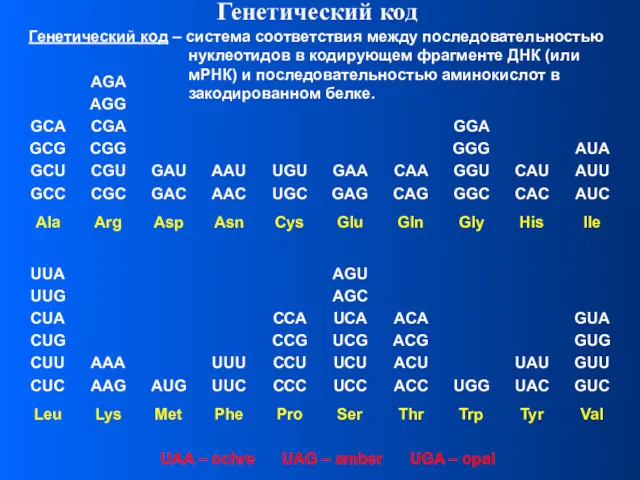 Генетический код – система соответствия между последовательностью нуклеотидов в кодирующем
