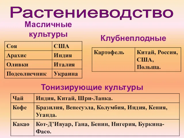 Масличные культуры Растениеводство Клубнеплодные Тонизирующие культуры