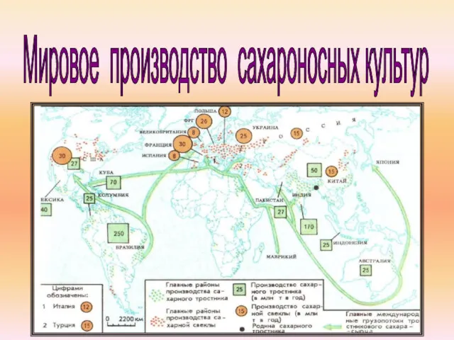 Мировое производство сахароносных культур