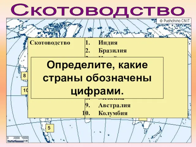 1 2 3 7 6 5 4 8 10 9 Скотоводство Определите, какие страны обозначены цифрами.