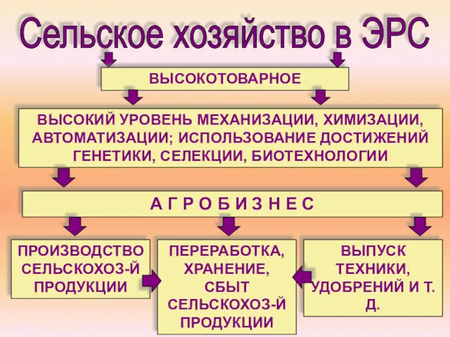 Сельское хозяйство в ЭРС ВЫСОКОТОВАРНОЕ ВЫСОКИЙ УРОВЕНЬ МЕХАНИЗАЦИИ, ХИМИЗАЦИИ, АВТОМАТИЗАЦИИ;