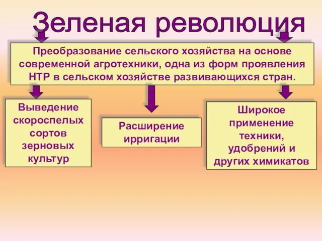 Зеленая революция Преобразование сельского хозяйства на основе современной агротехники, одна