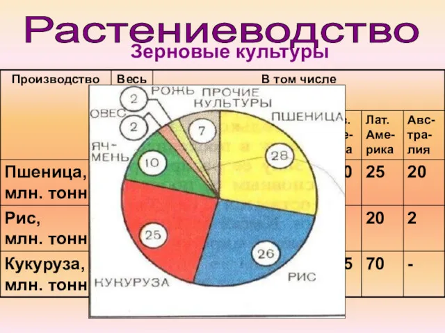 Растениеводство Зерновые культуры