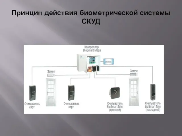 Принцип действия биометрической системы СКУД