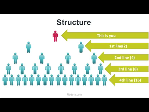 Structure Rede-x.com This is you 1st line(2) 2nd line (4) 3rd line (8) 4th line (16)