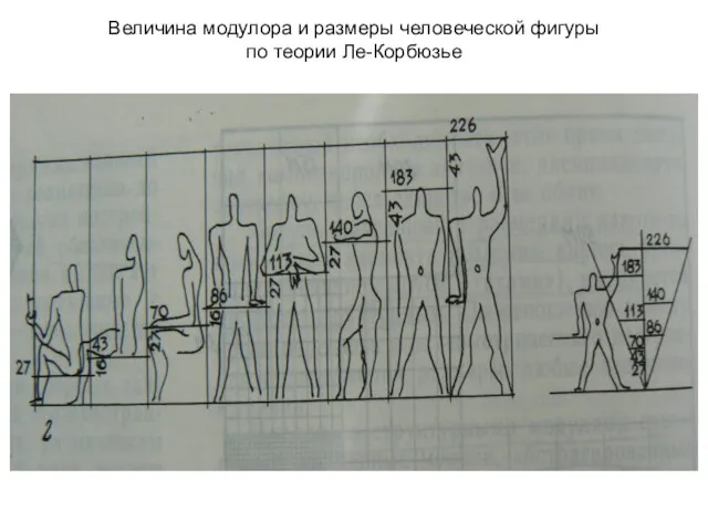 Величина модулора и размеры человеческой фигуры по теории Ле-Корбюзье