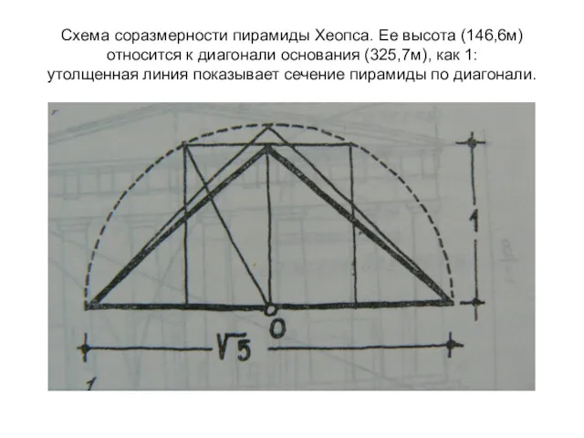 Схема соразмерности пирамиды Хеопса. Ее высота (146,6м) относится к диагонали