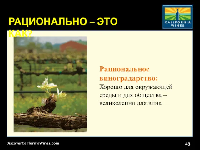 Рациональное виноградарство: Хорошо для окружающей среды и для общества –
