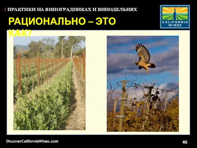 DiscoverCaliforniaWines.com / ПРАКТИКИ НА ВИНОГРАДНИКАХ И ВИНОДЕЛЬНЯХ РАЦИОНАЛЬНО – ЭТО КАК?