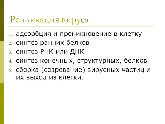 Репликация вируса адсорбция и проникновение в клетку синтез ранних белков