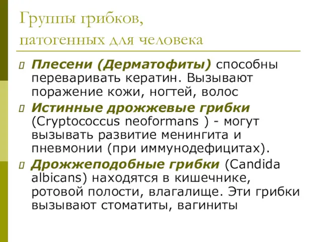 Группы грибков, патогенных для человека Плесени (Дерматофиты) способны переваривать кератин.