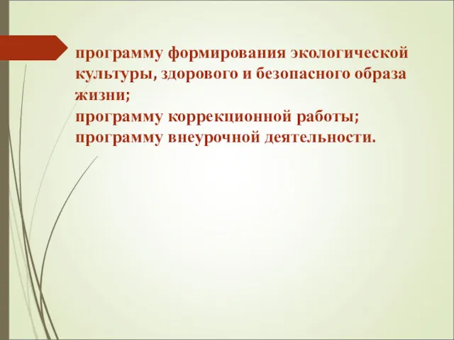 программу формирования экологической культуры, здорового и безопасного образа жизни; программу коррекционной работы; программу внеурочной деятельности.