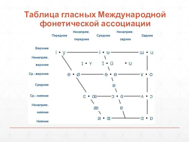 Таблица гласных Международной фонетической ассоциации