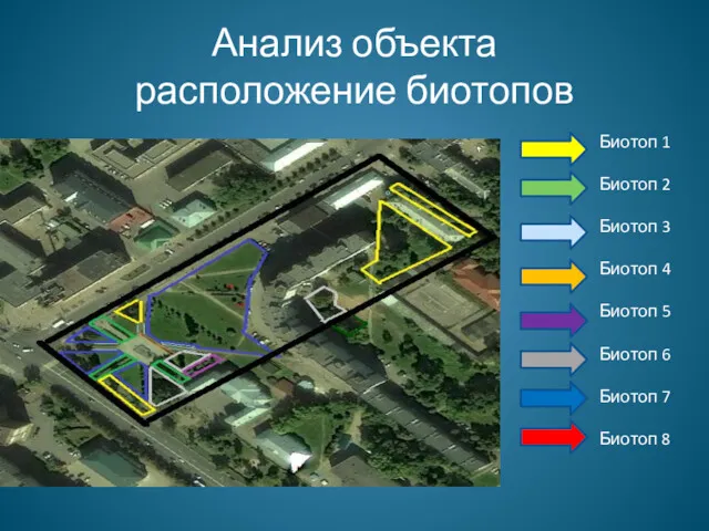 Анализ объекта расположение биотопов Биотоп 1 Биотоп 2 Биотоп 3