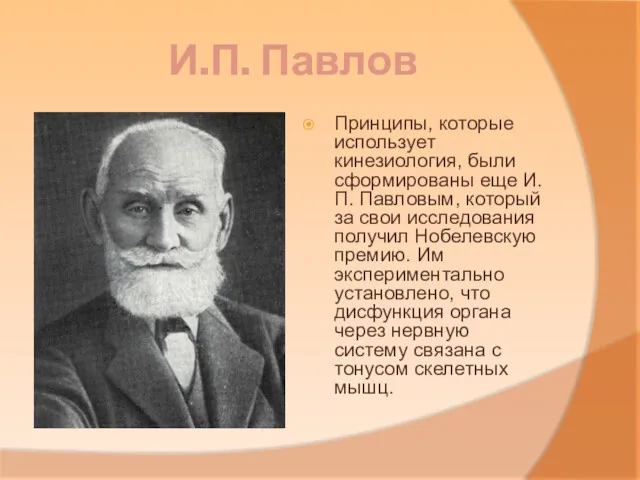 И.П. Павлов Принципы, которые использует кинезиология, были сформированы еще И.П.