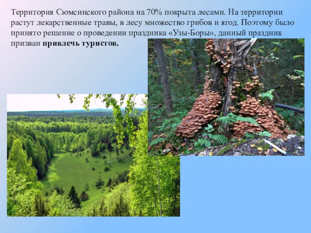 Территория Сюмсинского района на 70% покрыта лесами. На территории растут